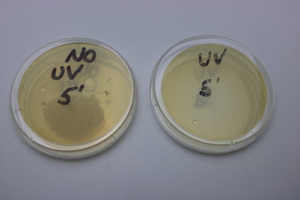 Petri Dish Comparison AVTECH